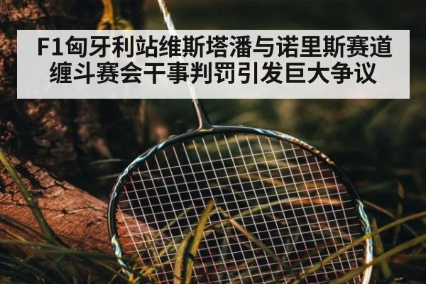 F1匈牙利站维斯塔潘与诺里斯赛道缠斗赛会干事判罚引发巨大争议